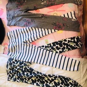 Cat and jack/ lands end /justice